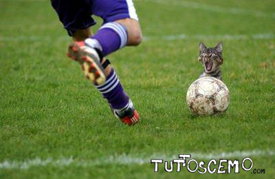 soccerkick