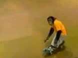 Scimmia in Sk8