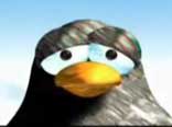  Il marcio dei pinguini
