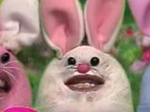 Buona Pasqua Buona Pasqua